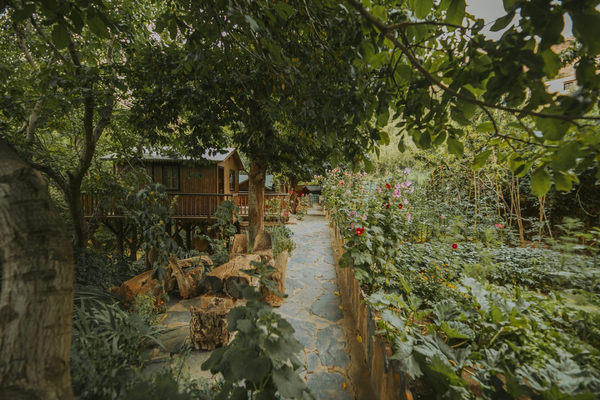 Le jardin